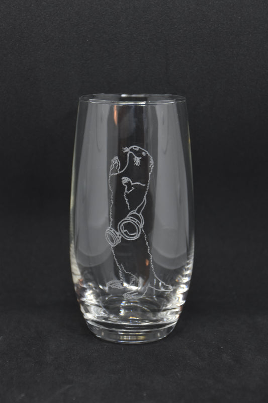 Artificer Otter Animal Companion - TTRPG Engraved Glasses