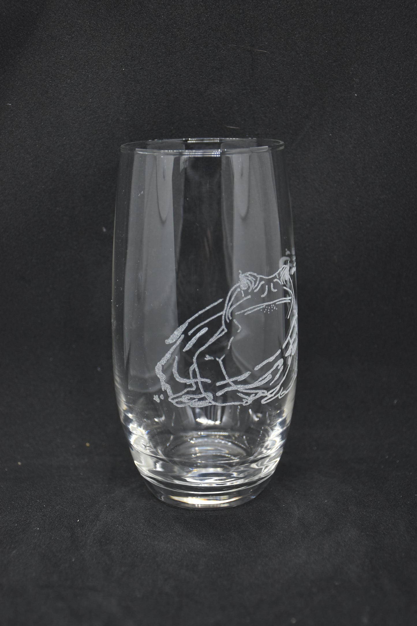 Sorcerer Frog Animal Companion - TTRPG Engraved Glasses
