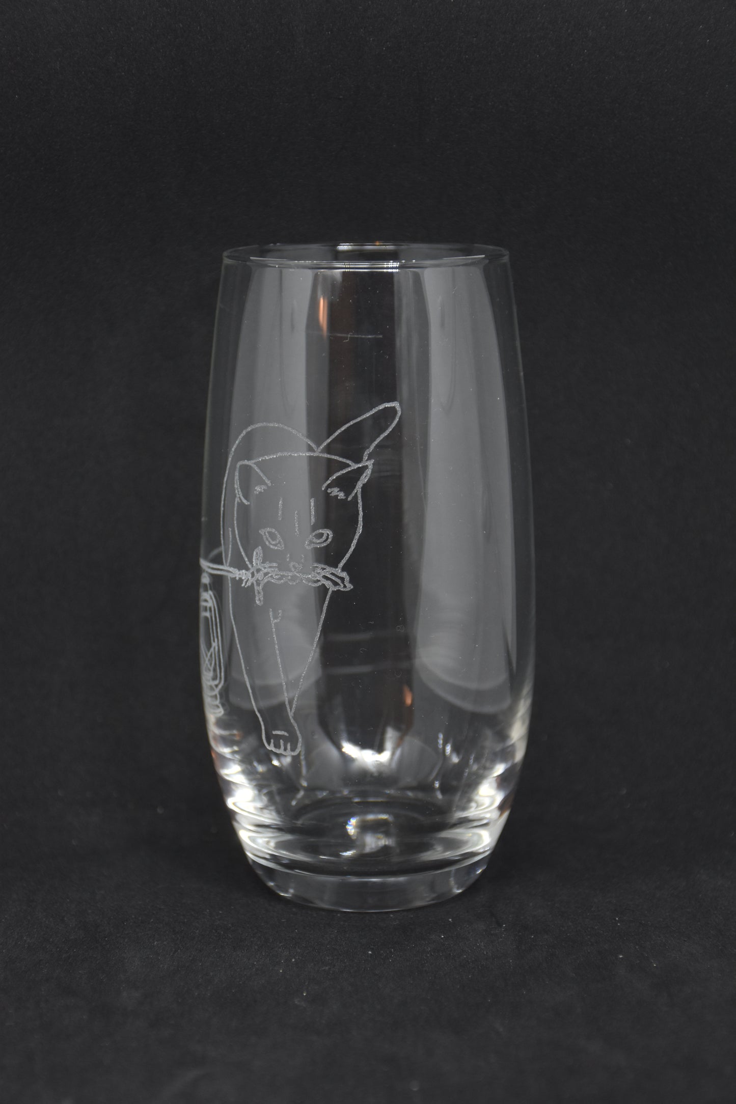 Rogue Cat Animal Companion - TTRPG Engraved Glasses